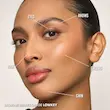 رژگونه هایلایتر پودری براق و نرم محو کننده دنسا مایریکس بیوتی