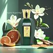 عطر الحمبرا  فیلوس مسنجر | Alhambra PHILOS MESSENGER