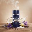 عطر لطافه اسد زنزیبار | Lattafa Asad Zanzibar
