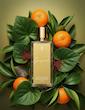 عطر مارک آنتونی بارووا گانیمد – گنیمید | Marc Antoine Barrois Ganymede