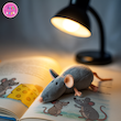 عروسک پولیشی موش دم‌دراز خاکستری – برند کوکی | نرم و ضدحساسیت🐭
