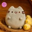 عروسک پولیشی گربه کارتونی پوشین Pusheen – برند کوکی | بامزه، نرم و ضدحساسیت 🐈
