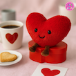 عروسک قلب فانتزی کوکی | نانو ضدحساسیت، نرم و لطیف – با جعبه هدیه و بدون جعبه ❤️