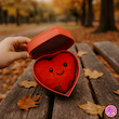 عروسک قلب فانتزی کوکی | نانو ضدحساسیت، نرم و لطیف – با جعبه هدیه و بدون جعبه ❤️