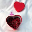 عروسک قلب فانتزی کوکی | نانو ضدحساسیت، نرم و لطیف – با جعبه هدیه و بدون جعبه ❤️