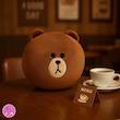 عروسک و کوسن خرس براوون فانتزی کوکی | نانو ضدحساسیت، نرم و لطیف – قابل شستشو و دکوری خاص 🐻