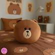 عروسک و کوسن خرس براوون فانتزی کوکی | نانو ضدحساسیت، نرم و لطیف – قابل شستشو و دکوری خاص 🐻