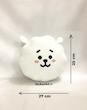 ست عروسک‌های کارتونی بی‌تی۲۱ (BT21 Plush Dolls Set) – مجموعه کامل شخصیت‌های BTS برند کوکی