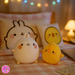 ست عروسک مولانگ و پیوپیو (Molang & Piu Piu Plush Set) – عروسک فانتزی بامزه برند کوکی
