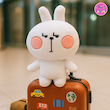 عروسک خرگوش لاین اخمالو (Angry Cony Rabbit) – عروسک فانتزی بامزه و خاص برند کوکی