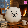 عروسک بی‌تی۲۱ طرح آر جی (BT21 RJ Plush) – عروسک کوسن و جاکلیدی بامزه برند کوکی
