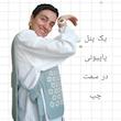 جلیقه بابونه
