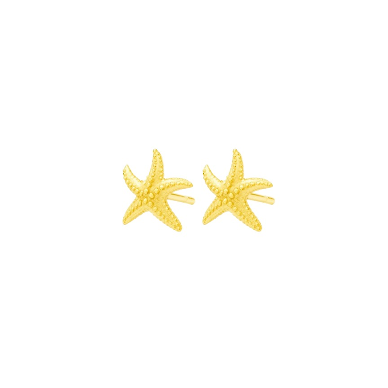 گوشواره  Mini Marina Star
