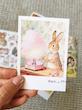 داستان خانواده خرگوش . Bunny Bungalow