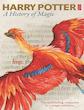 Harry Potter - A History of Magic 