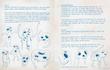 Adventure Time  The Enchiridion  Marcy’s Super Secret Scrapbook 