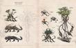 Divinity original sin 2 artbook 