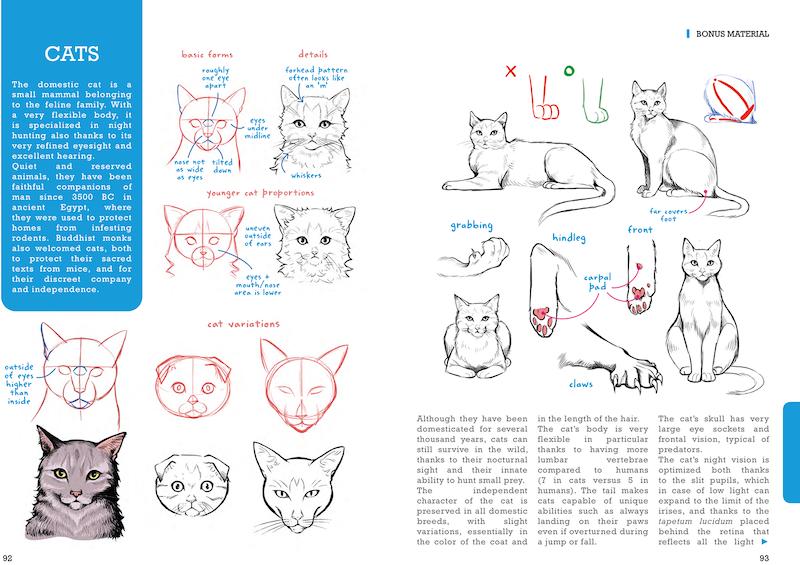 Art Tips Collection