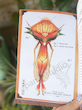 راهنمای مراقبت از پری ها / Spiderwick 