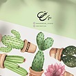 برچسب دیوار طرح کاکتوس های کوچک