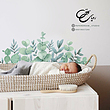 برچسب دیوار طرح اکالیپتوس چیده شده