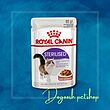 پوچ مراقبتی گربه عقیم شده استرلایز رویال کنین  royal canin pooch cat sterilised