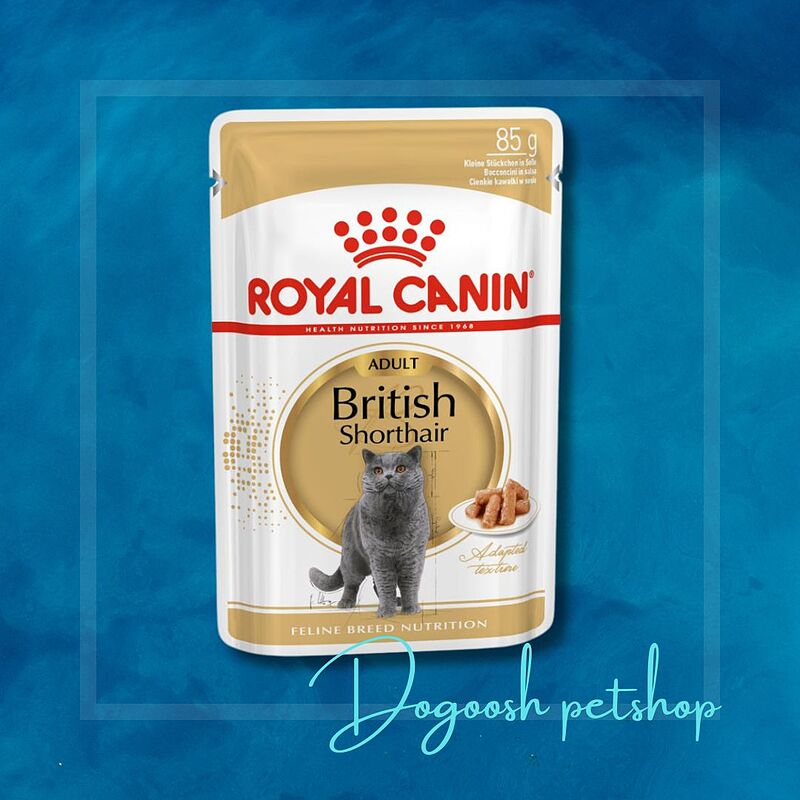 پوچ گربه بریتیش رویال کنین 85 گرم Royal Canin British Shorthair 85g