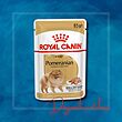 پوچ سگ رویال کنین مخصوص پامرانین وزن 85 گرم ا Royal Canin Pomer Wet 85g