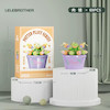 لگو گل سری potted plant