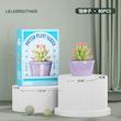 لگو گل سری potted plant