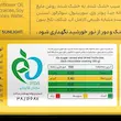 زیرو بار سیب کاراملی و دانه چیا 40 گرمی کیتاریچ (12عدد)