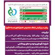 روغن سرخ کردنی حاوی هسته انگور توسکا لایت (810 گرم)