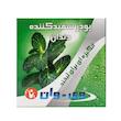 پودر سفید کننده دندان نعنا وی وان (50 گرم)