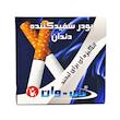 پودر سفید کننده دندان اکالیپتوس وی وان (50 گرم)