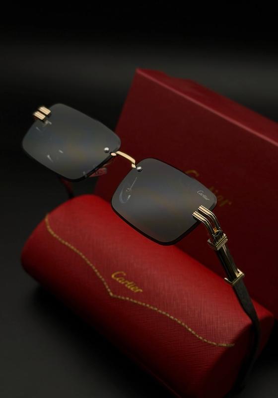 کارتیر فریم لس