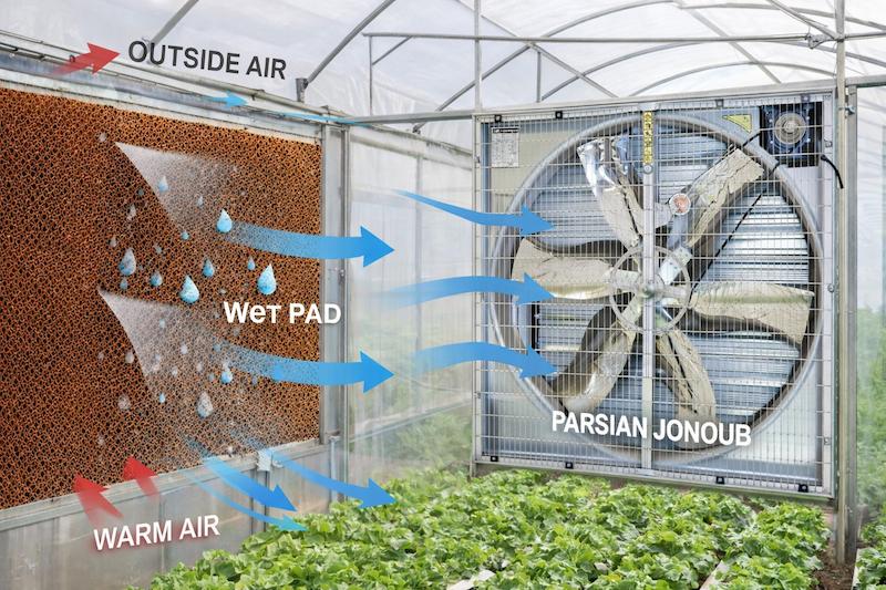 فن اگزاست هوا بیگ هردسمن