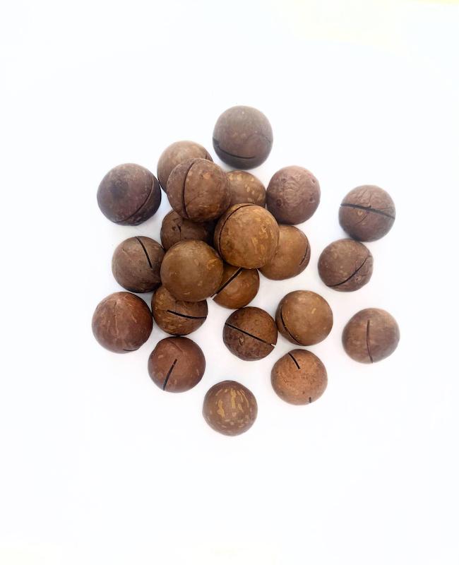 ماکادمیا ( فندوق استرالیایی)