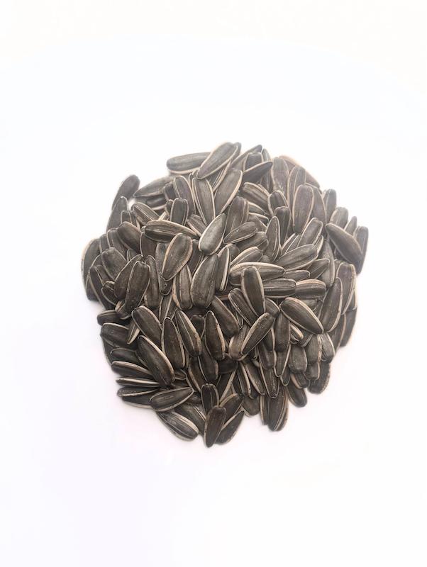 تخمه آفتابگردان شور