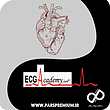 خرید اکانت ECG Academy پرمیوم روی ایمیل شما قانونی (ارزان)