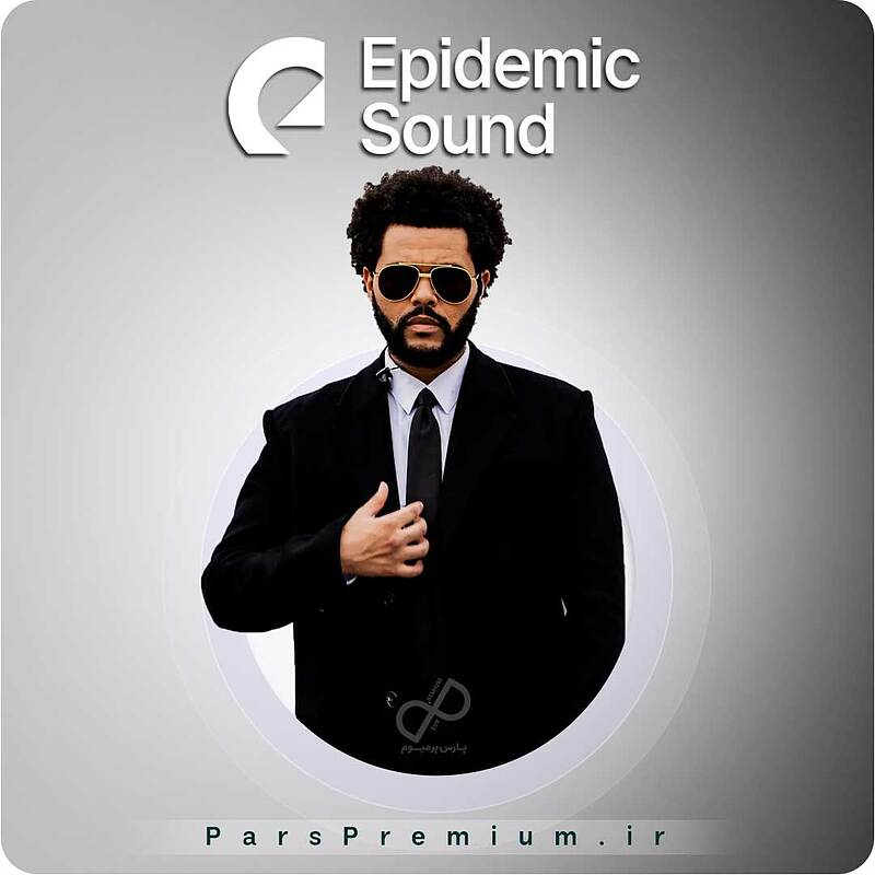 خرید اکانت EpidemicSound (اپیدمیک ساند) با ایمیل شما