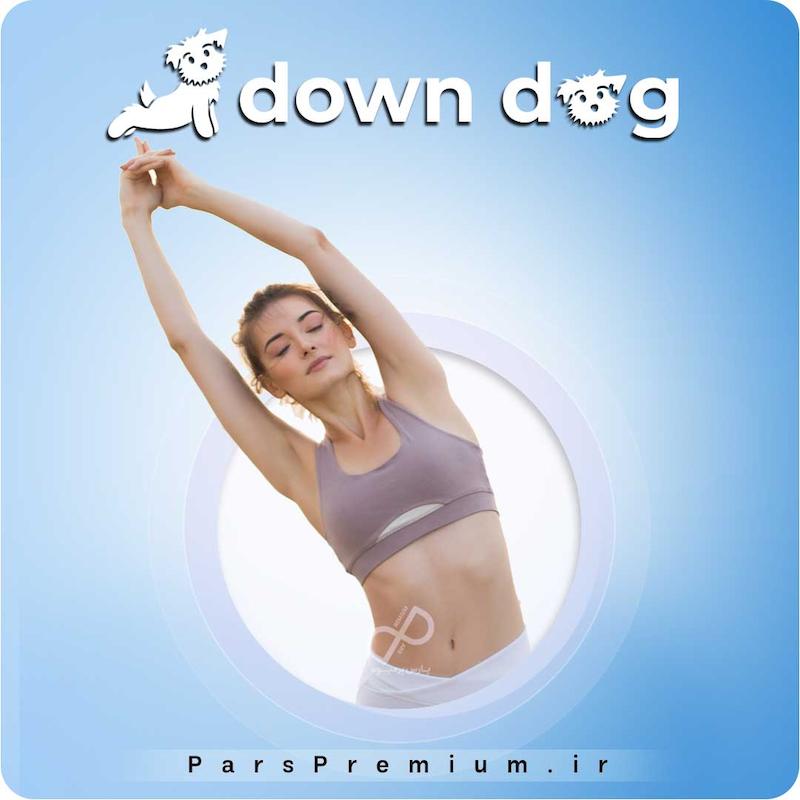 خرید اکانت Yoga Down Dog با ایمیل شما (ارزان)