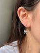 گوشواره های رنگ ثابت همیشگی