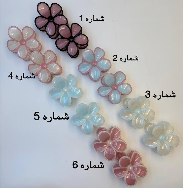 کلیپس مدل بابونه صدفی 