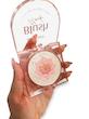 هایلایتر آنی لیدی مدل Blush در دو رنگ 