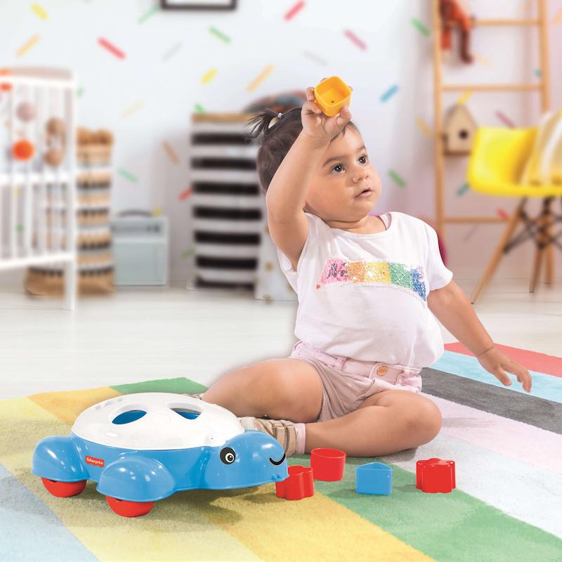 لاک پشت هوش اشکال کد0204