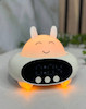 چراغ خواب و اسپیکر بلوتوثی به همراه ساعت دیجیتال مدل SPD0  کد2744