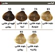 الوکسین رنگ مو کم آمونیاک(120 میل)