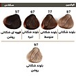 الوکسین رنگ مو کم آمونیاک(120 میل)