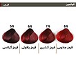 الوکسین رنگ مو کم آمونیاک(120 میل)