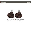 الوکسین رنگ مو کم آمونیاک(120 میل)